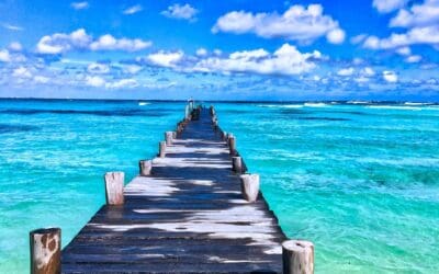 Finding Calm: How to Stay Grounded in a Busy World